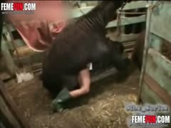 Homemade beastiality plump housewife takes a llama cock extremely deep